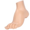 thumbnail image 3 of Modèle de Pied Humain, Modèle de Pied pour Adultes Signe Numérique avec Ligaments pour Présentations pour Conférences pour Enseignement, 3 of 8