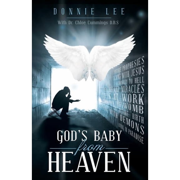 God's Baby from Heaven, (Paperback)