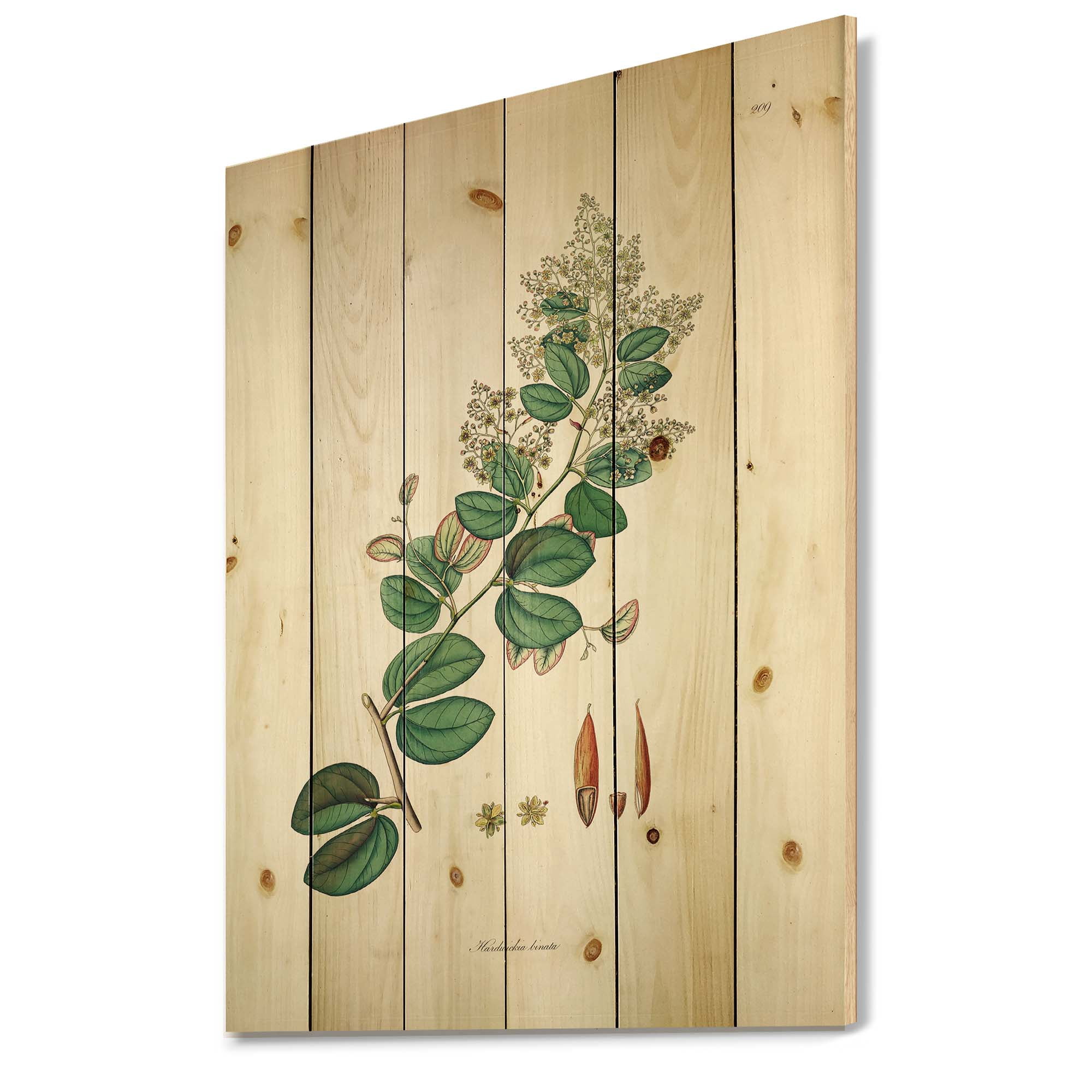Designart 'Ancient Botanicals XIII' Farmhouse Print on Natural Pine Wood