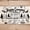 Brown, variant on Manfei Kawaii Rv 7-Piece Twin Bedding,Cute Camping Print Bedding Comforter Set,Beige,Polkadot Reversible