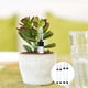 thumbnail image 5 of Diseño duradero y resistente a la intemperie, medidor de nivel flotante para plantas hidropónicas, uso versátil para varias plantas, 4 piezas, 5 of 5