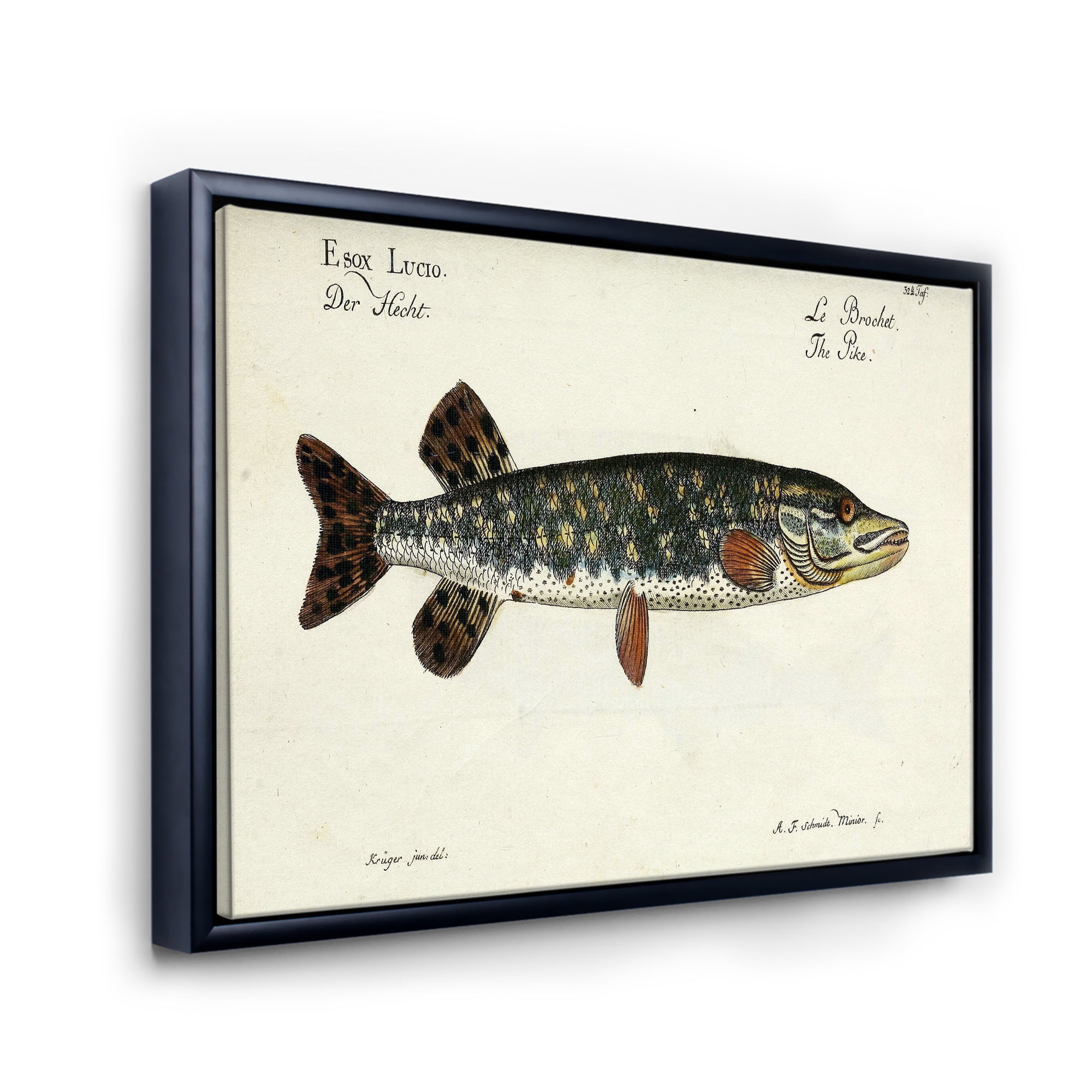 Designart 'Portrait Of A Green Fish On Beige' Nautical & Coastal Framed Canvas Wall Art Print