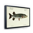 thumbnail image 3 of Designart 'Portrait Of A Green Fish On Beige' Nautical & Coastal Framed Canvas Wall Art Print, 3 of 5