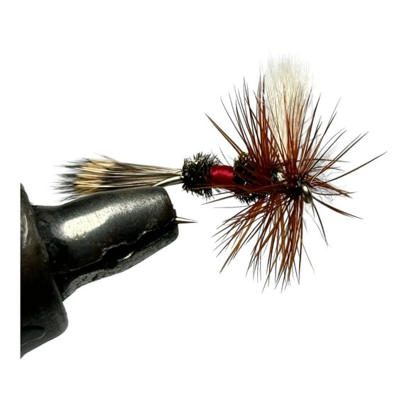 One Dozen (12) - Royal Wulff - Dry Fly