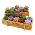 thumbnail image 1 of Wooden Planter Box Garden Plant Flower Pot Decorative Yard MicroLandscape Flower Vintage Succulent Boxes Gardening DecorationSky BlueChina He Qiyong unisex, 1 of 1