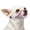 Pink, variant on Dog Muzzle, Soft Mesh Muzzles for Small Dogs, Chihuahua Shih Tzu , Short Snout Mouth Guard for Barking Biting Grooming, Breathable Adjustable Puppy Muzzle (Crystal‌ Pink, XXS)