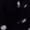 Black, variant on Women'S Polka Dots Frill Trim Dress Elegant Ruched Bust Fishtail Maxi Dresses