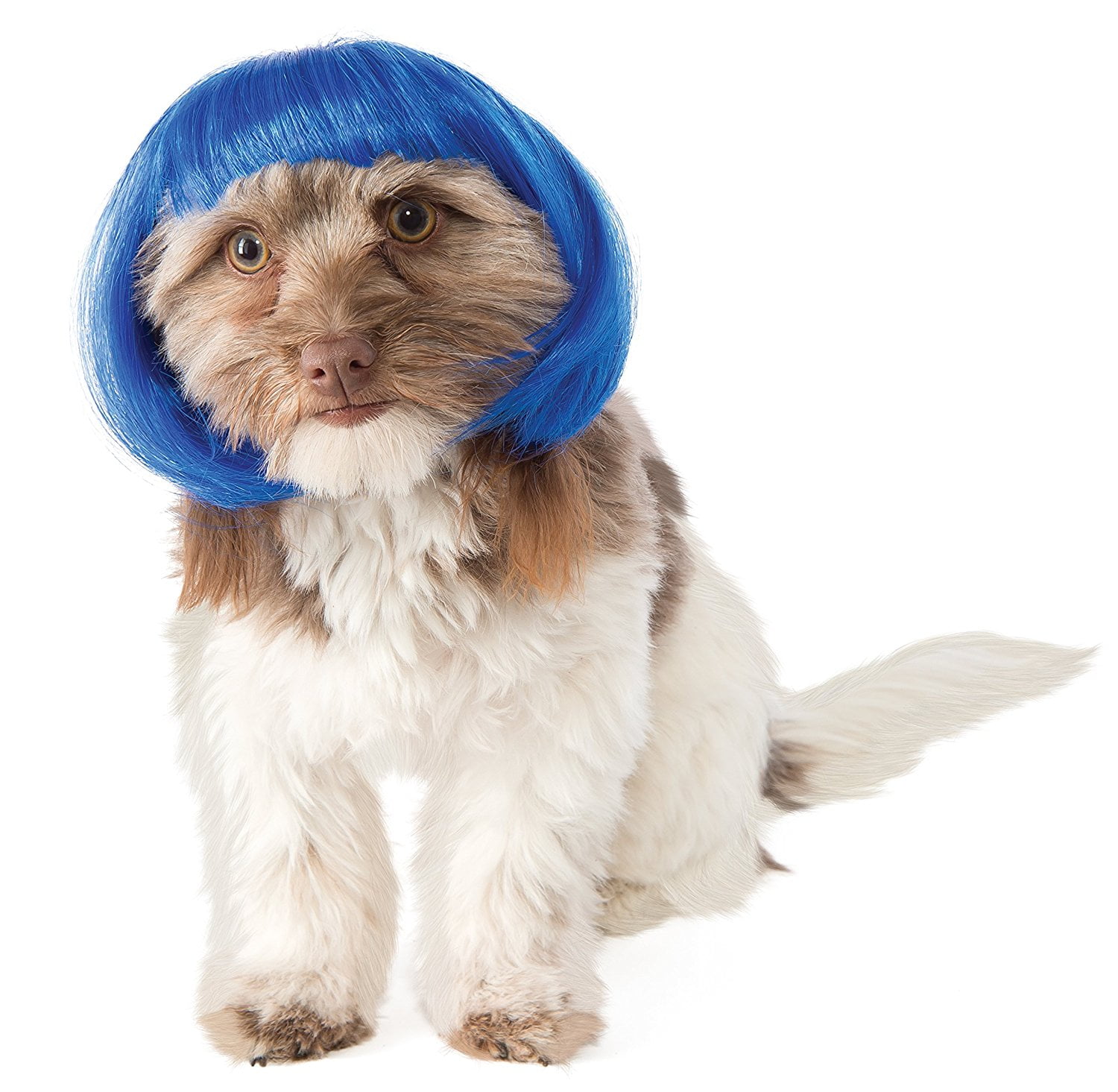 Blue wig shop for dog