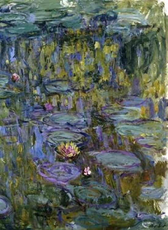 Water Lilies Canvas