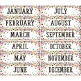 thumbnail image 1 of Teacher Created Resources TCR8803 5 x 18 in. Confetti Monthly Headliners, 1 of 1