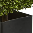 thumbnail image 3 of Nearly Natural 27" Boxwood Artificial Topiary in Black Planter (Indoor/Outdoor), 3 of 5