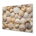 thumbnail image 2 of Designart "Beige Clam Seashell Euphony II" Clam Metal Wall Art, 2 of 5