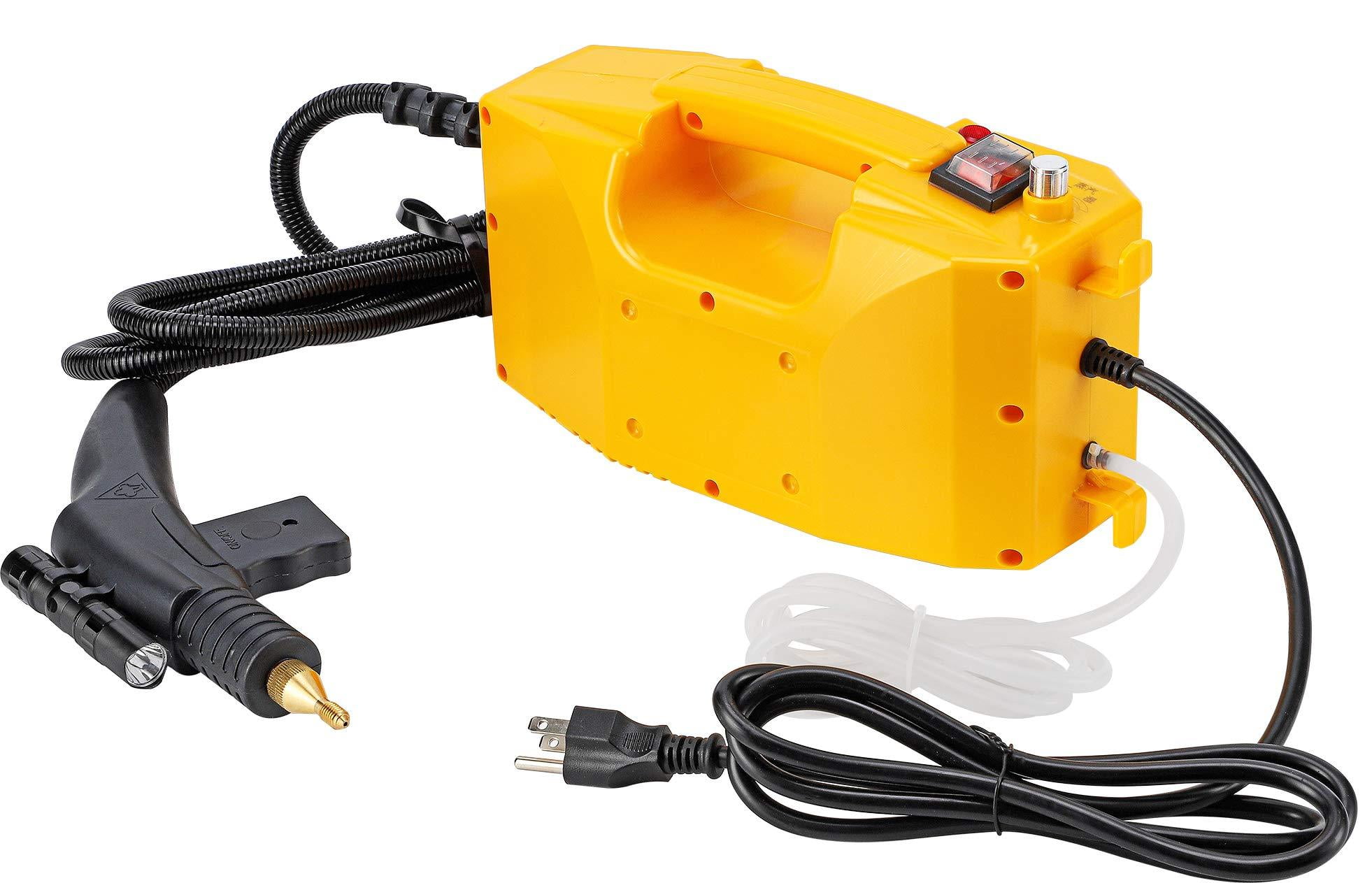 Buy CGOLDENWALL Portable Steam Cleaner High Temperature Steamer