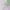 Lilac, variant on Addison Rugs Chantille Indoor/Outdoor Transitional Modern Lilac Washable Rectangle Rug, 10' x 14'
