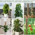 thumbnail image 4 of LANNEY Indoor Monstera Houseplant Stakes, Moss Poles for Garden, Coir Totem Sticks, 4 Pack, Brown, 4 of 7