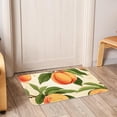 thumbnail image 6 of Peach Kitchen Rugs Indoor Rug Door Mats - Polyester, Non-Slip, Machine Washable, 6 of 6