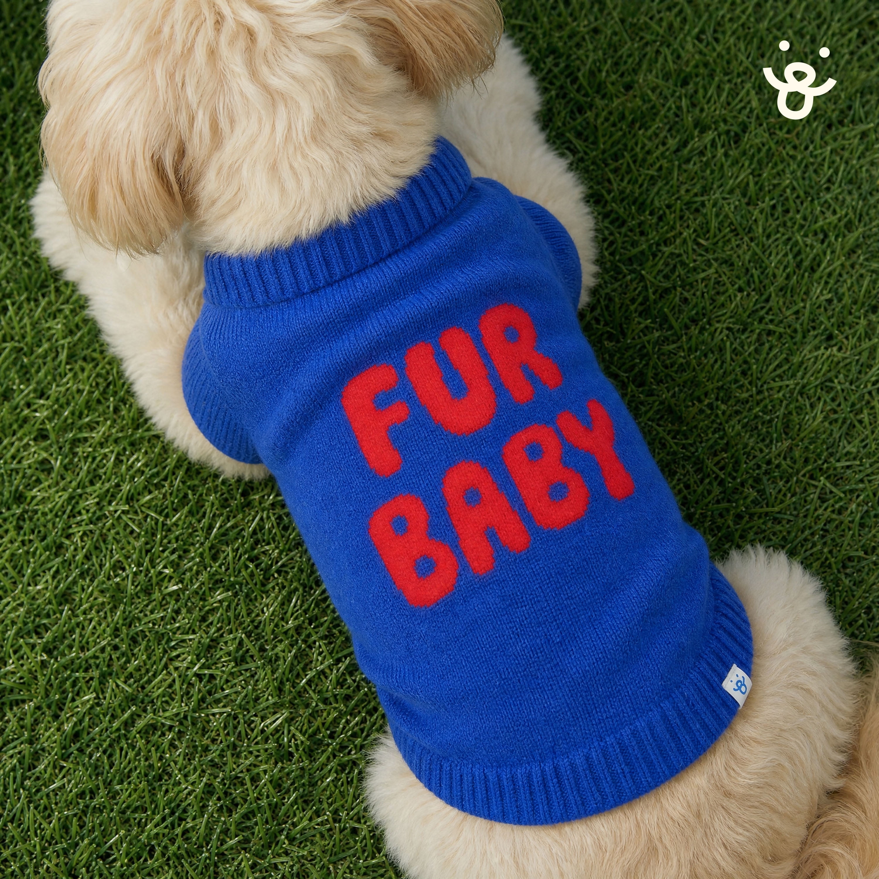 Oodles Fur Baby Fall Turtleneck Dog Sweater, Blue, XL