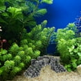 thumbnail image 4 of unbranded De Resina Para Acuario Con Multifuncional Y Acabado Vibrante, 4 of 6