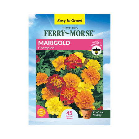 Ferry-Morse 240MG Marigold Champion Annual Flower Seeds, Full Sun