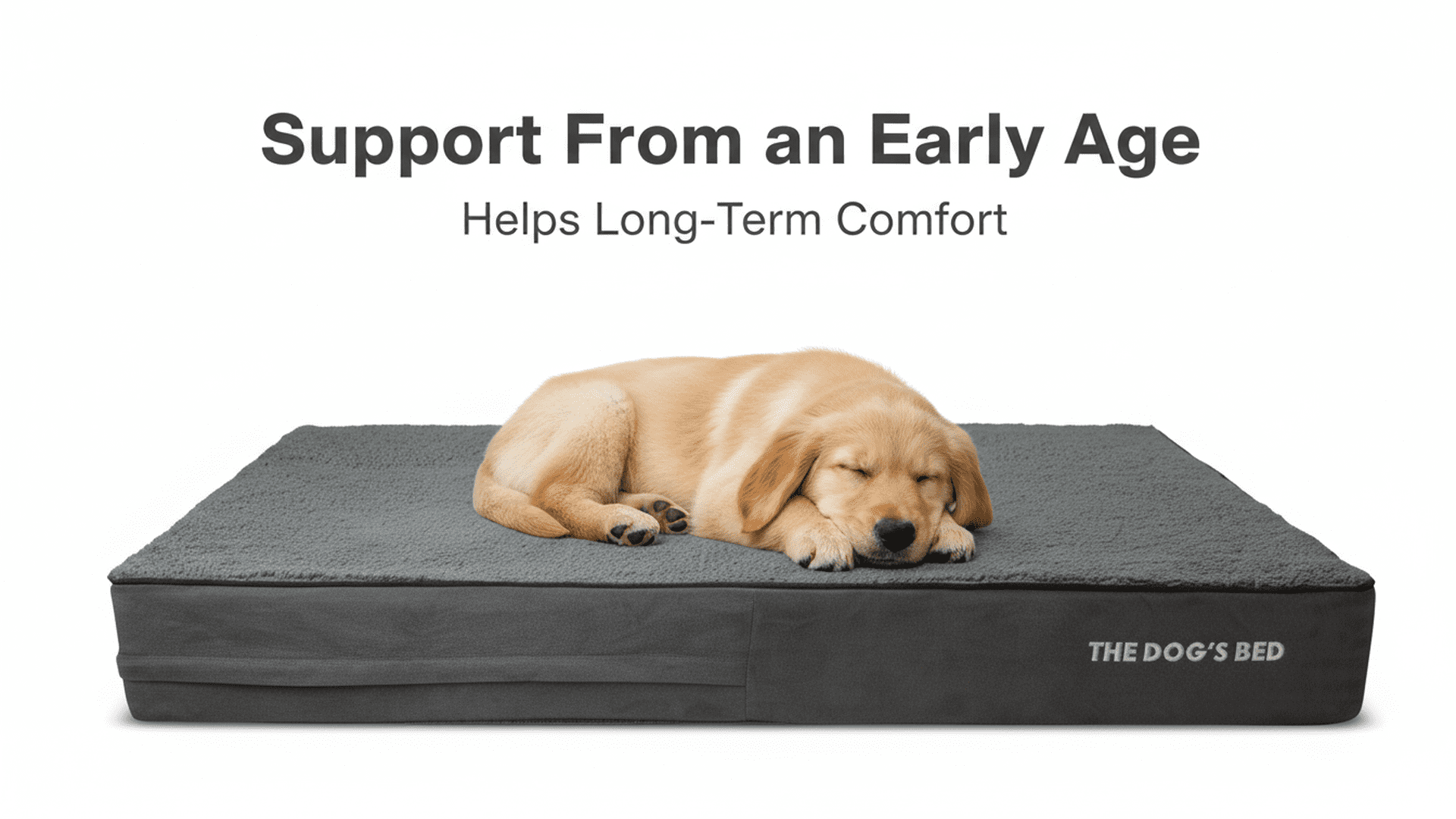 The Dog’s Bed Orthopedic Memory Foam Dog Bed, XL Grey Plush 46x28x4, Pain Relief for Arthritis, Hip & Elbow Dysplasia, Post Surgery, Lameness, Supportive, Calming, Waterproof Washable Cover