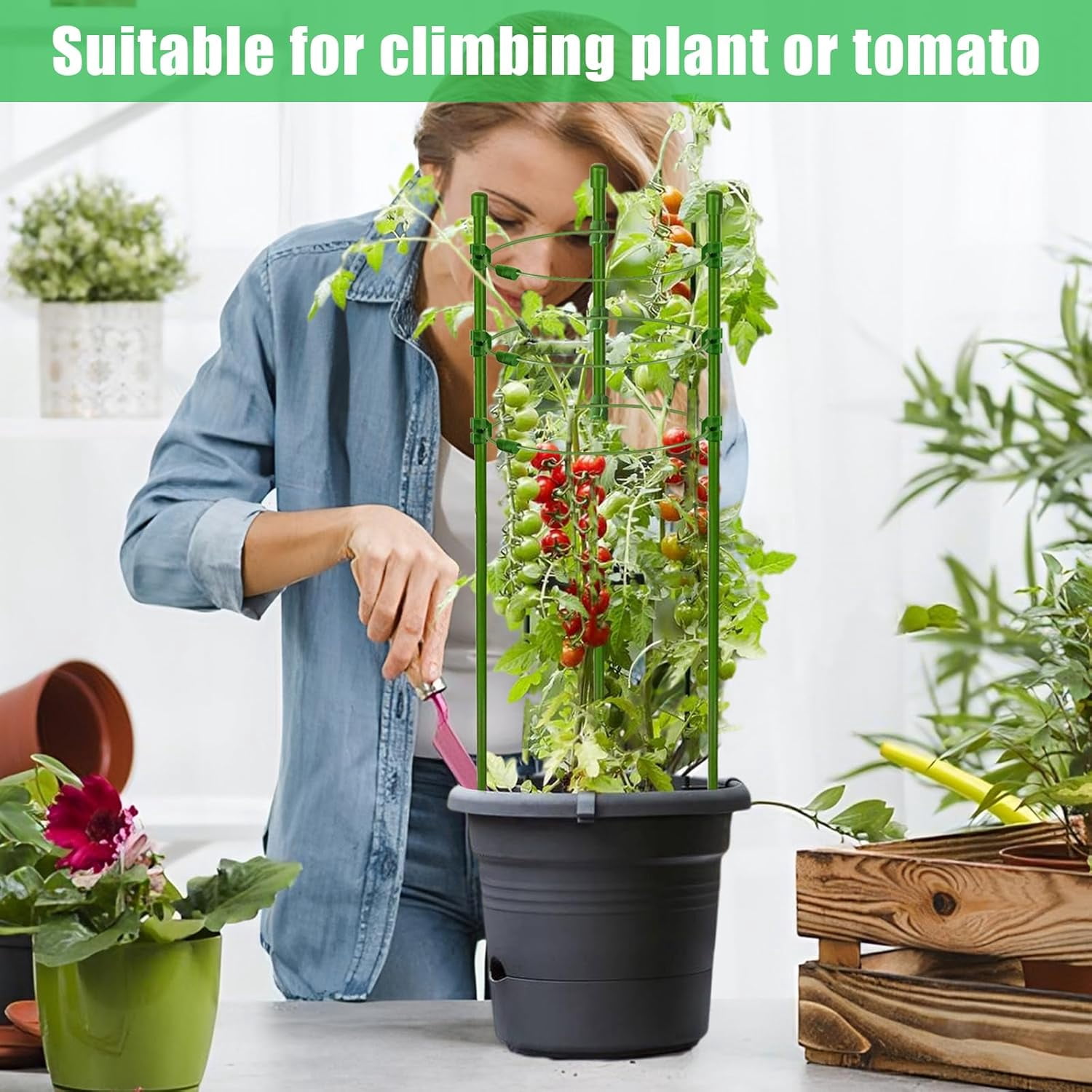 36 Inch 6 Pack Plant Support Cages Tomato Cage for Garden with 10 Plant Clips- Plant Cages Adjustable Rings, Tomato Plant Support Stakes Trellis for Pots, Peppers, Cucumbers and Flowers