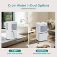 thumbnail image 5 of Beddle 30 Pint Dehumidifier for 2000 Sq Ft, with Drain and Auto Shut Off for Basement, Home, Bathroom, Bedroom, 5 of 9
