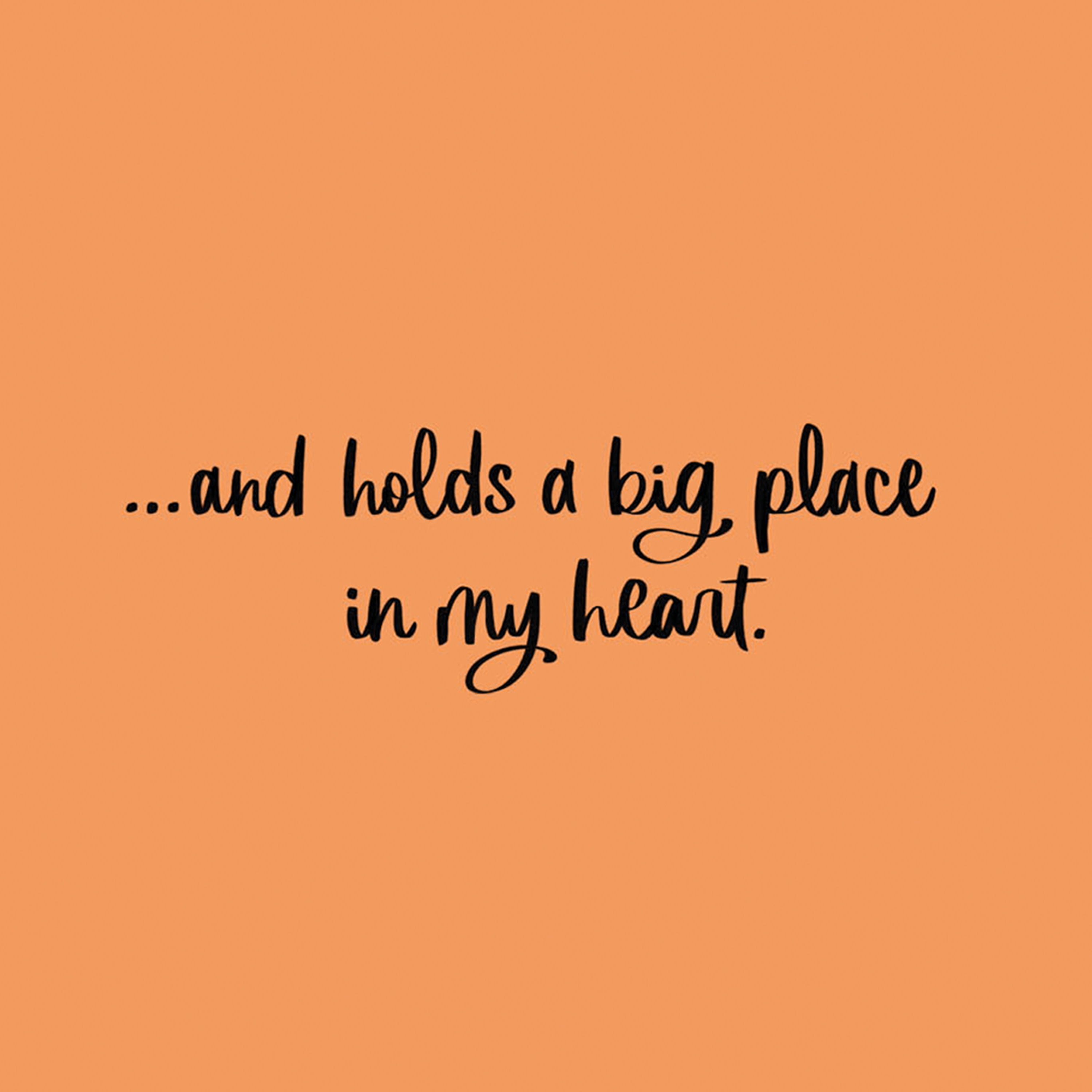 Hallmark Thanksgiving Card for Friend (Big Place in My Heart), 1 Count