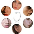 thumbnail image 4 of 20G 36PCS 316L Stainless Steel Nose Ring Hoop Nose Piercing Jewelry for Women and Men, 4 of 4