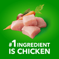 thumbnail image 3 of Iams Proactive Health Chunks in Gravy with Chicken Adult Wet Dog Food, 3 of 13