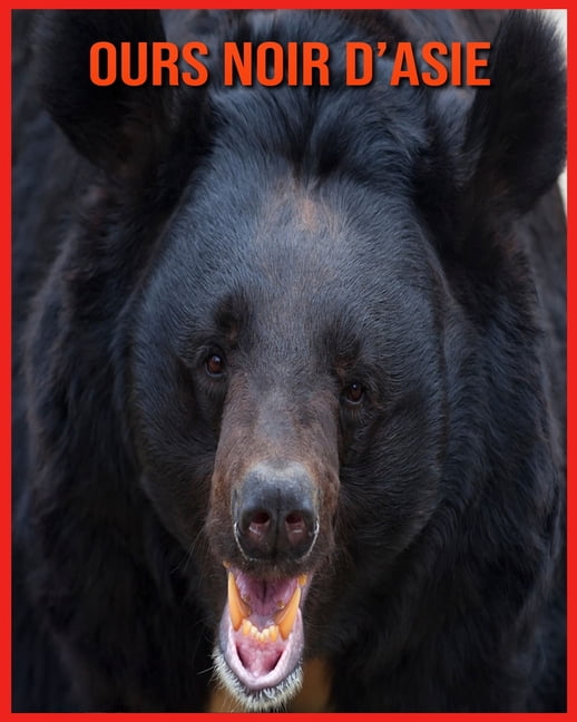 Ours Noir D Asie Decouvrez Les Ours Noir D Asie Et Admirez Des Images Colorees Paperback Walmart Com