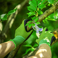 thumbnail image 5 of Guantes transpirables para jardinería y actividades al aire libre, guantes de trabajo lavables y reutilizables con diseño ergonómico para hombres y mujeres, adecuados para manipulación, agricultura,, 5 of 5