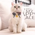 thumbnail image 4 of 24 Uds colgantes de campana para collar de perro o gato, campana de gato de Metal de 14mm, campanas adorables para perros gato, colgantes de campanas para mascotas, campanas de Navidad, 4 of 4