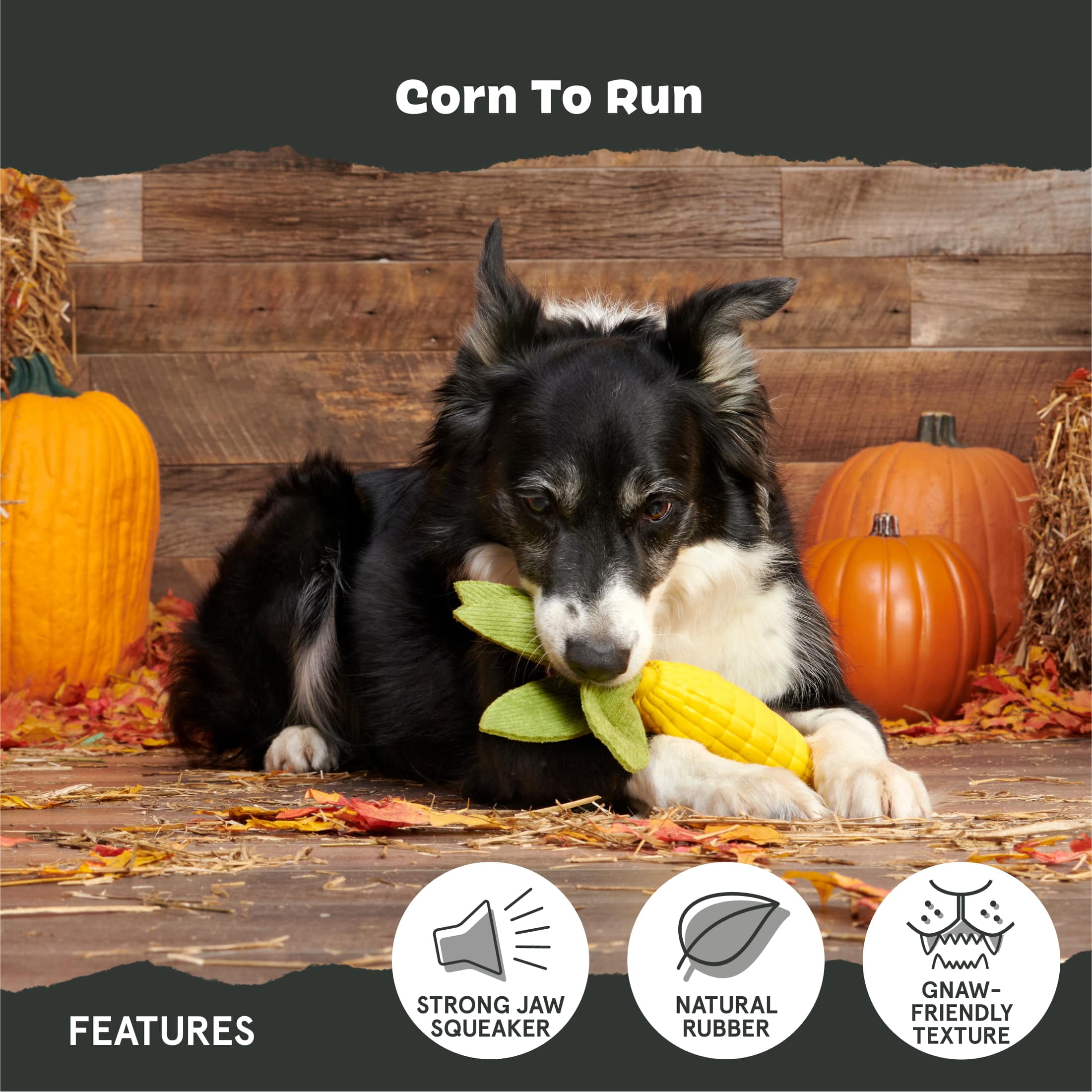 BARK Super Chewer Corn To Run Durable Rubber Vegetable Dog Toy L