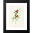 thumbnail image 2 of John Gould 14x18 Black Modern Framed Museum Art Print Titled - Carpodacus Erythrinus (Common Rose Finch), 2 of 5