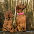 thumbnail image 6 of Dog Collar with Spikes,Rivet Dog Collar, Leather Spiked Studded Dog Pet Collars for Small Medium Large Dogs 1Pack, 6 of 6