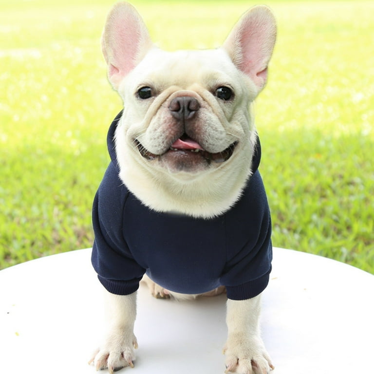 Cute dog sweaters 2025