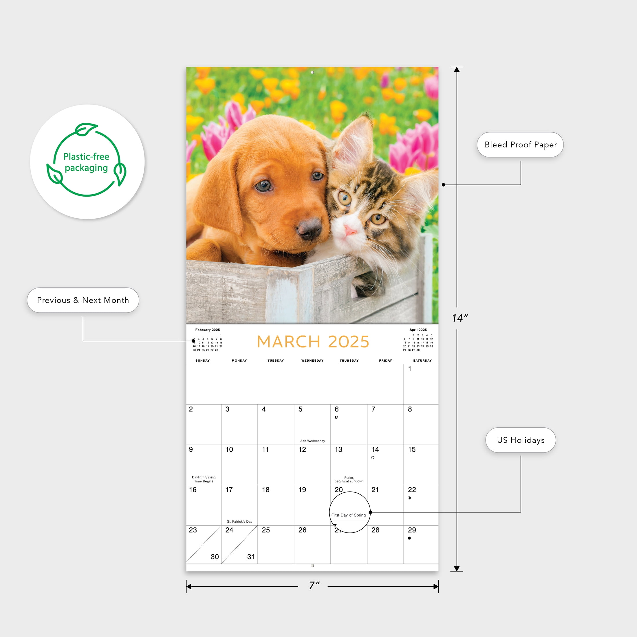 2025 Mini Wall Calendar - Buddies Mini- 7"x7" by Dayspring