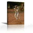 thumbnail image 1 of Verreauxs Sifaka hopping, vulnerable, Berenty Reserve, Madagascar - Contemporary Fine Art Giclee on Canvas Gallery Wrap - wall décor - Art painting - 24 x 36 Inch - Ready to Hang, 1 of 2
