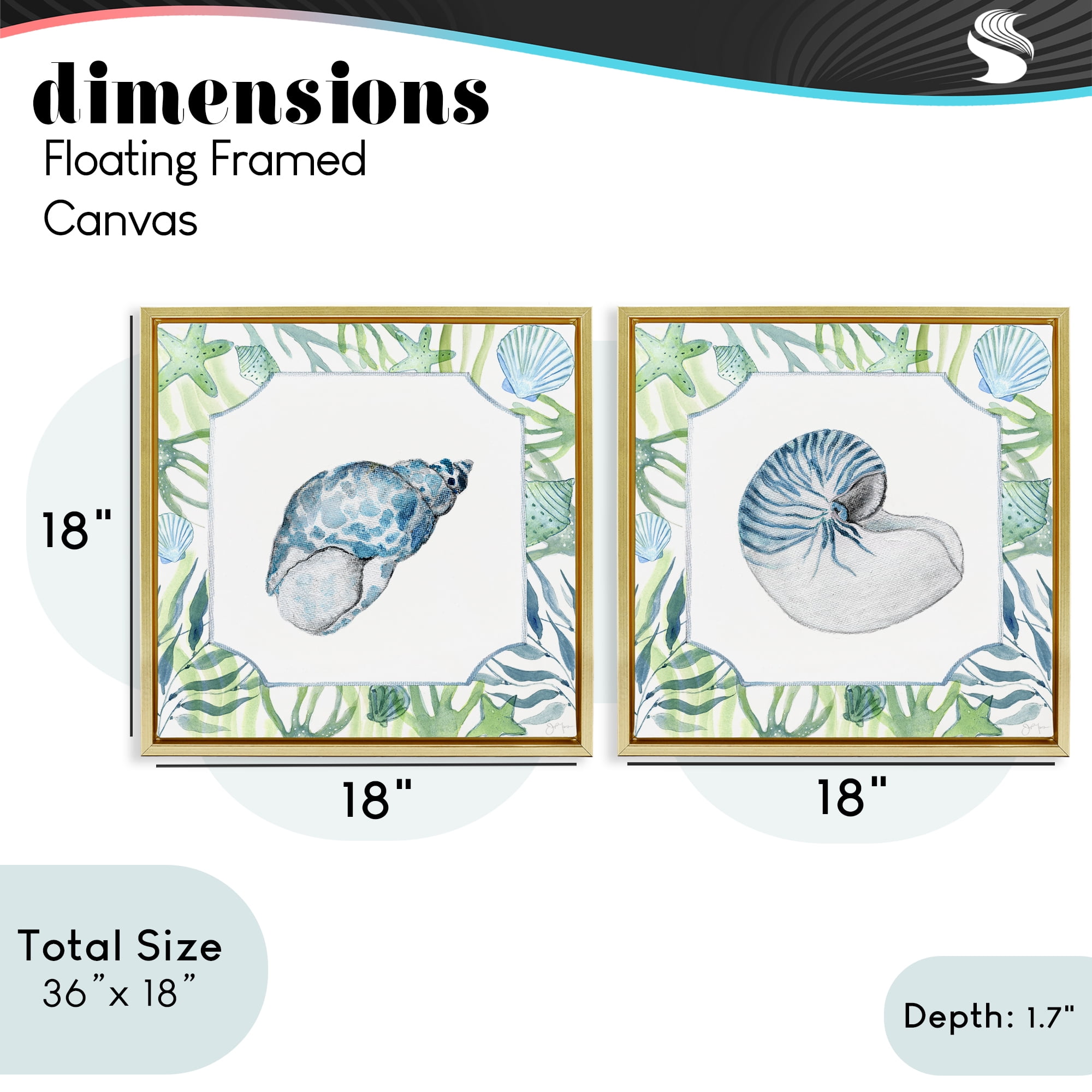 Stupell Industries Seaweed Bordered Seashells 2 Piece Gold Framed Floater Canvas Set, design by Janet Tava