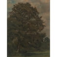 thumbnail image 3 of Lionel Constable 19x24 Black Modern Framed Museum Art Print Titled - Study of an Ash Tree (ca. 1851), 3 of 5