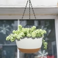 thumbnail image 6 of 2 Pack 10 Inch Hanging Planter, Self Watering Plant Pot Hanging Baskets Holder Plants with Drainage Holes & Removable Tray for Garden Home-White, 6 of 8