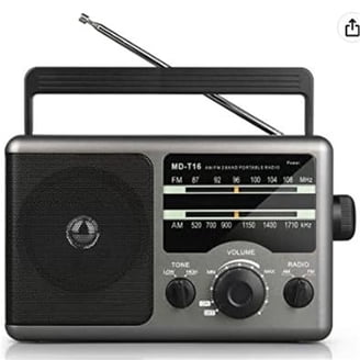 SANSUI F28 Mini Elderly FM Radio Outdoor Wireless Bluetooth