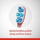 thumbnail image 4 of Cepillo de Dientes Colgate 360 Avanzado Blanqueador Paquete de 2, 4 of 6