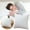 13.8 Inch, variant on Throw Pillow Insert, 13.8 x 13.8 Inch Square Cushion Inner, Soft Fluffy Plump Stuffer Cushion Pad, White Decorative Pillow Insert Pillow Core