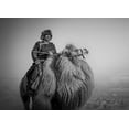 thumbnail image 2 of Yu Wu, Irene 32x24 White Modern Wood Framed Museum Art Print Titled - Farmer and His Camel, 2 of 4