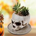 thumbnail image 2 of Halloween Multifunctional Skull Container Human Skull Flower Pot, 2 of 5