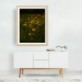 thumbnail image 3 of Front Range Flora - Boulder Colorado Photography Flowers Nature Floral Botanical Garden Scenic Summer Unframed Wall Art Print 36 x 48 inches, 3 of 4