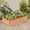 Brown, variant on vidaXL Garden Raised Bed with Liner Brown 47.2"x23.6"x9.8" Solid Wood Fir