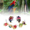 thumbnail image 4 of Parrots Chewing Foraging Toy With Long Chain,Bird Cage Hammock Hanging Swing Toy Bird Chewing Toys For Cockatiel Conure African Grey Parakeets - Colorful, 4 of 8