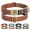 Brown, variant on Didog Personalized Dog Collar with Custom Engraved ID Tag Name Plate and Phone Number